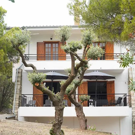 Villa Petrino Palaiontsiflikion