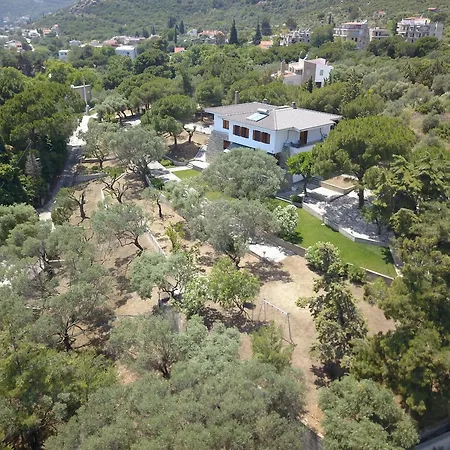 Petrino Villa